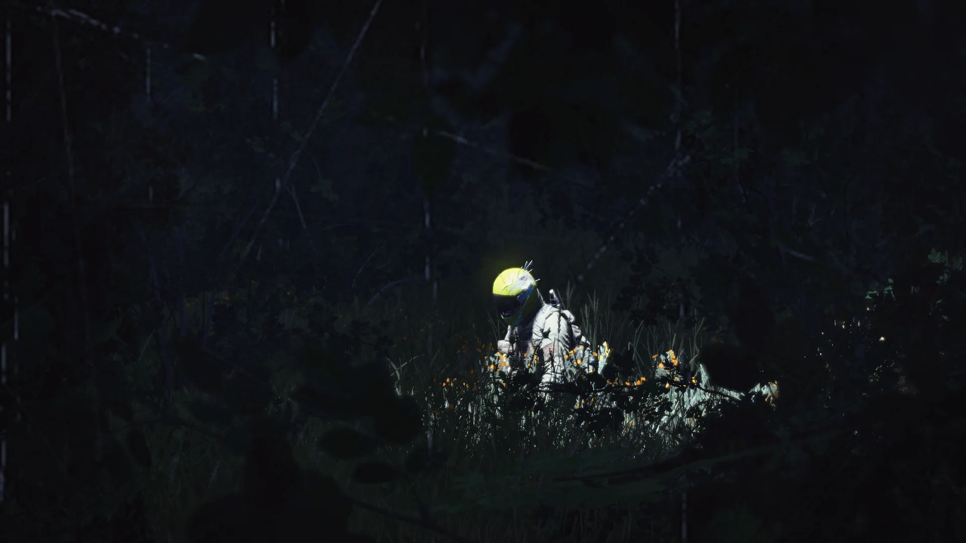 DayZ survivor moving through a dark forest